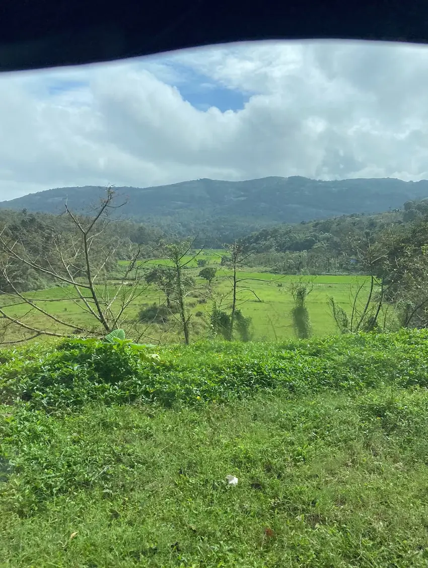 Coorg coffee country